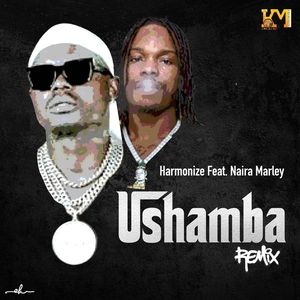 Harmonize – Ushamba ( Remix ) ft . Naira Marley