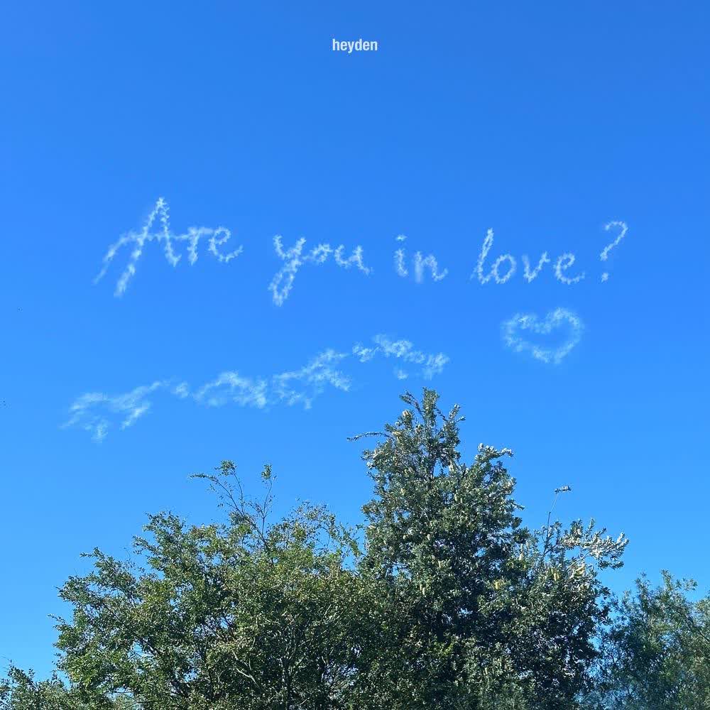 heyden & oddfish - Are you in love?.mp3