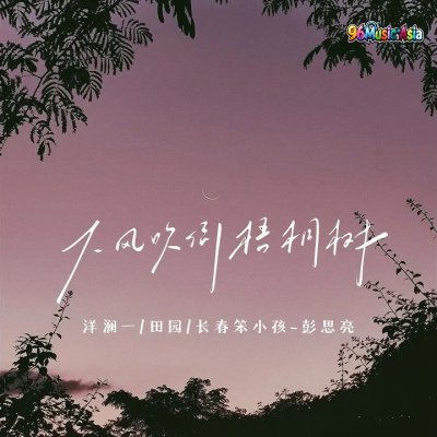 Thumbnail 5Y4_大风吹倒梧桐树_(96Music.Asia)