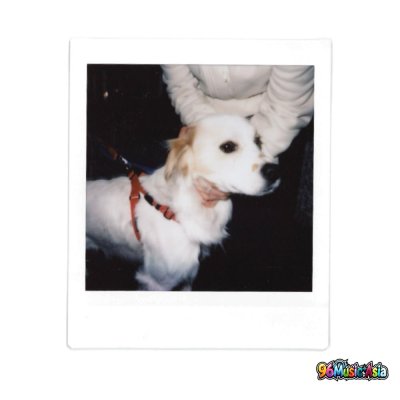 Thumbnail 3MA_GOODBOY_SYNDROME_(96Music.Asia)