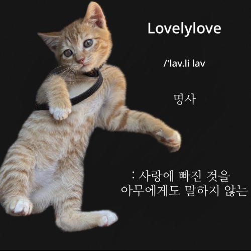 Sumgoyange – 사랑에 빠진 것을 아무에게도 말하지 않는 (Lovelylove) (Prod. Wuno) Image Cover