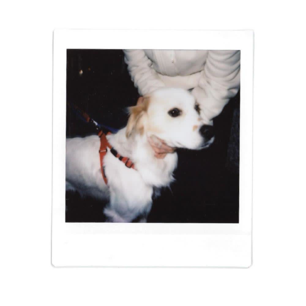GOODBOY SYNDROME by TWLV
