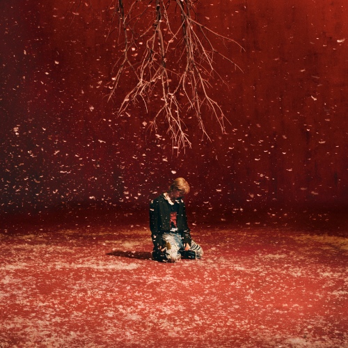 Image Cover