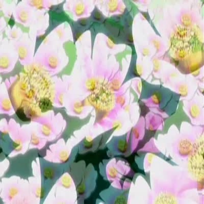 Ai_Yori_Aoshi_23