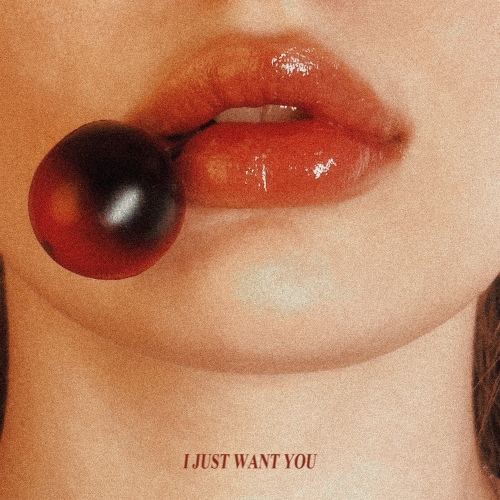 Beaver – I Just Want You (Feat. CHERRYSHH) Image Cover