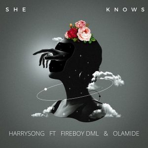 Harrysong ft. Fireboy DML & Olamide — She Knows