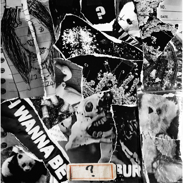 Image Cover