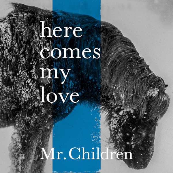 Image Cover