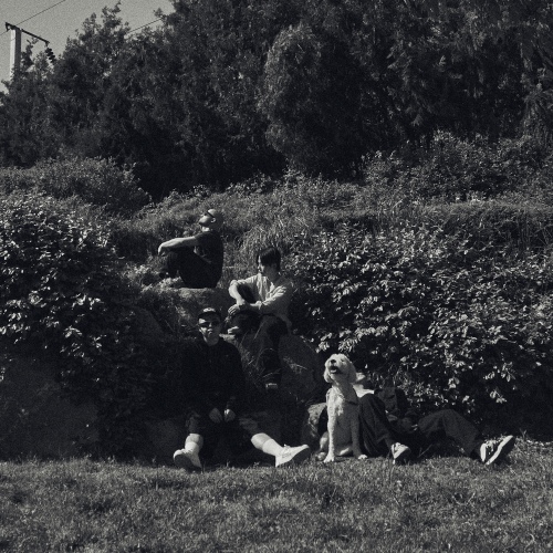 Image Cover