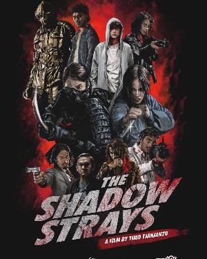 The Shadow Strays 2024 Dual Audio [Hindi 5.1ch-Eng] WEB-DL ([ 2160p 4k 20GB ]1080p 2.9GB 720p 1.3GB 480p 500MB MKV 