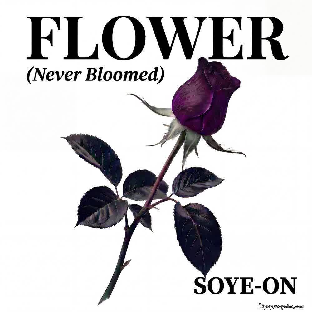 SoYe-On - Flower (Never Bloomed).mp3