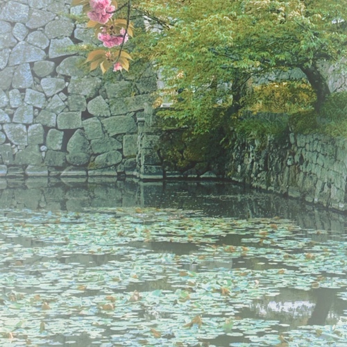 Image Cover