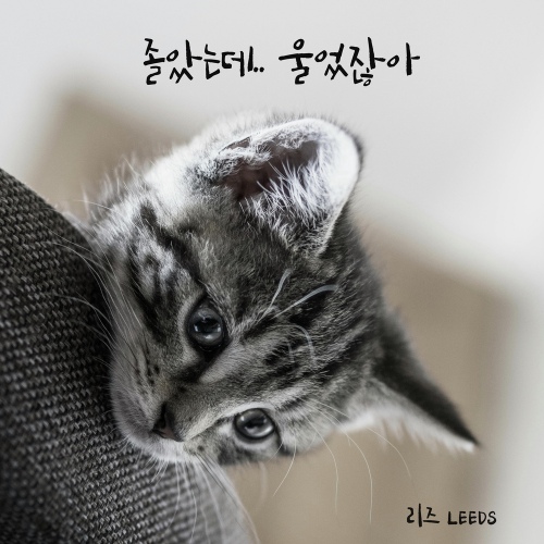 Image Cover