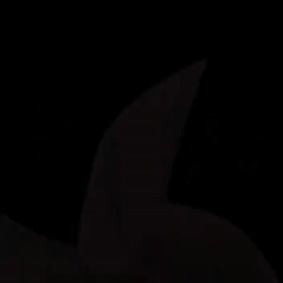Inukami_10