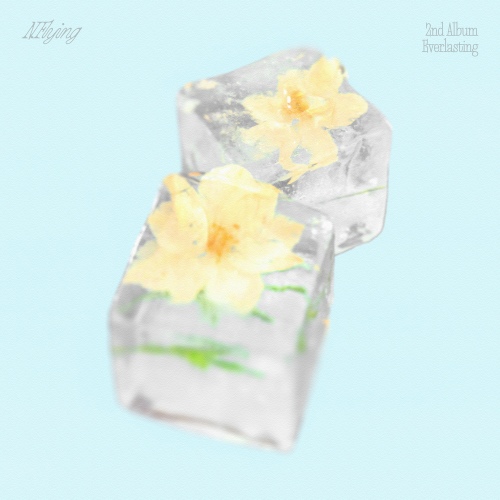 Image Cover