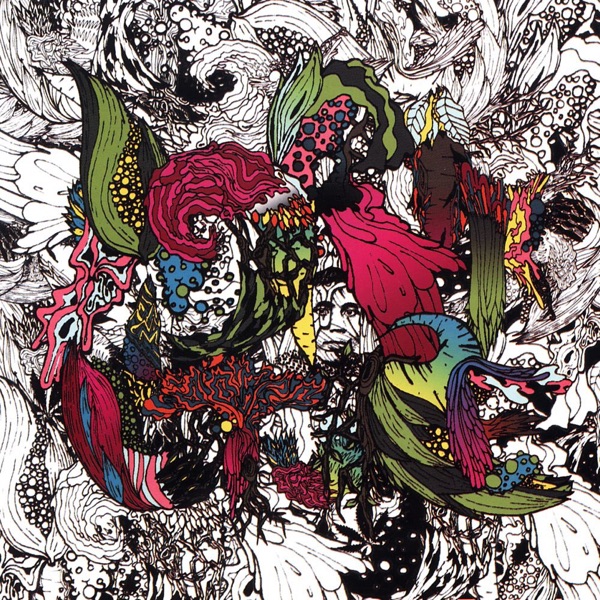 Image Cover