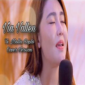 Via Vallen - Te Molla (Koplo Cover Version)