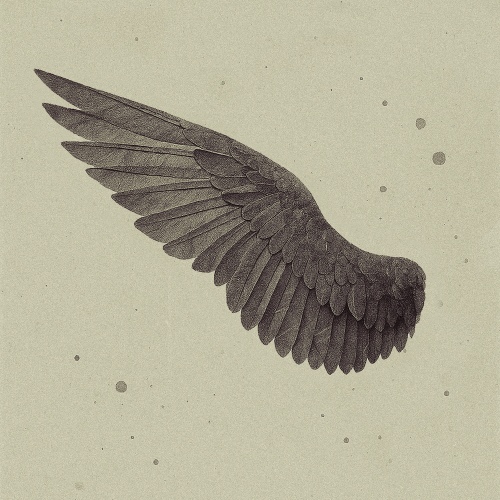 Image Cover