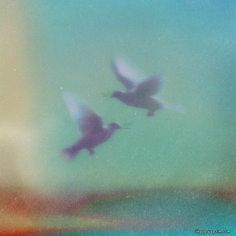 piece of peace by KIK & Dept