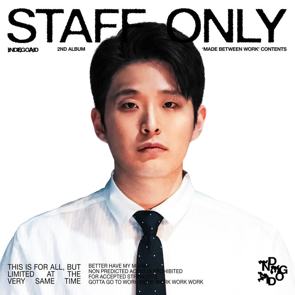 INDEGOAID - 고투웍 (WORK).mp3