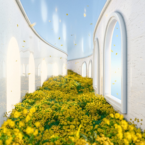 Image Cover