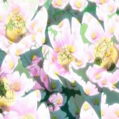 Ai_Yori_Aoshi_05