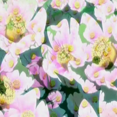 Ai_Yori_Aoshi_24