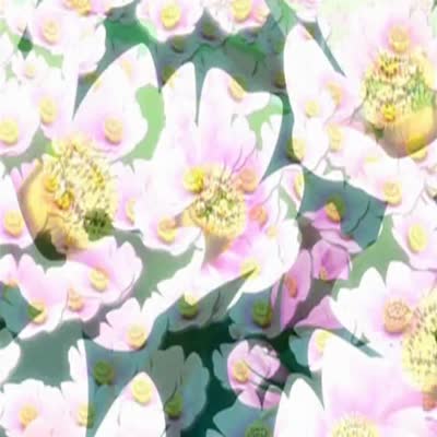 Ai_Yori_Aoshi_12