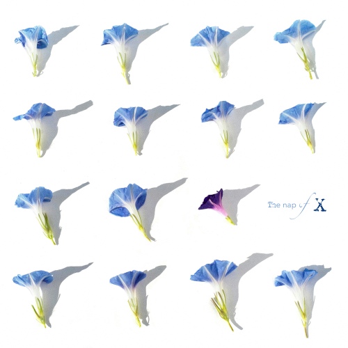 Image Cover