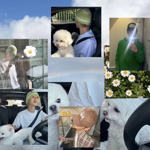 Image Cover