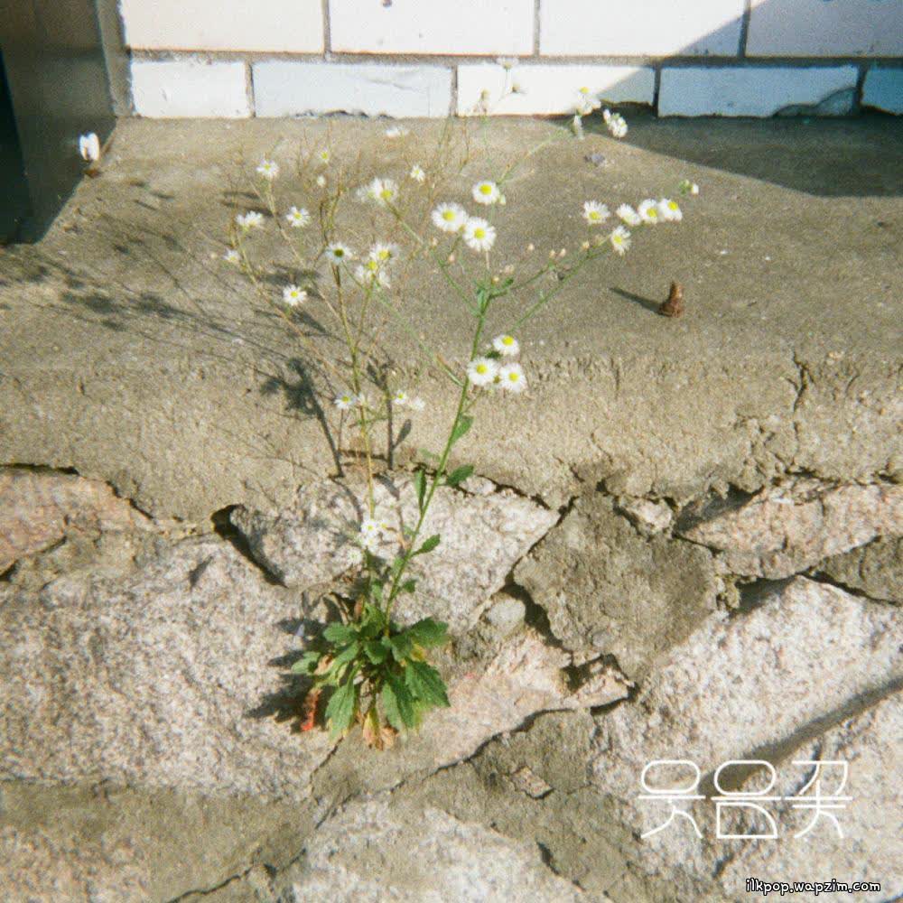 웃음꽃 下 (Smiles Bloomed – Pt. 2) (feat. Jungreen) by Wooden Lee