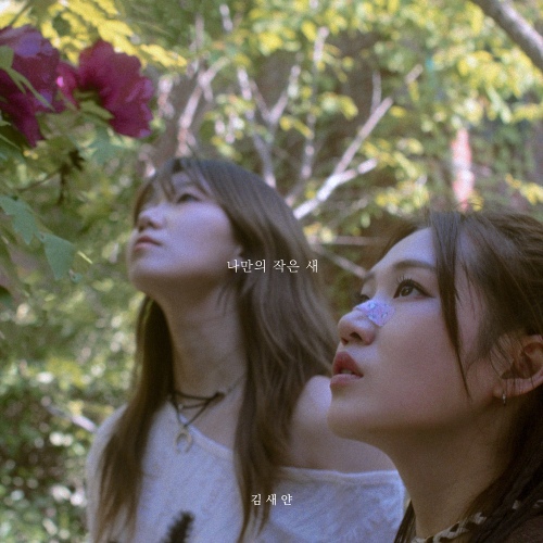 Image Cover