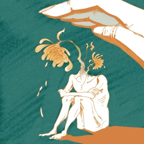Image Cover