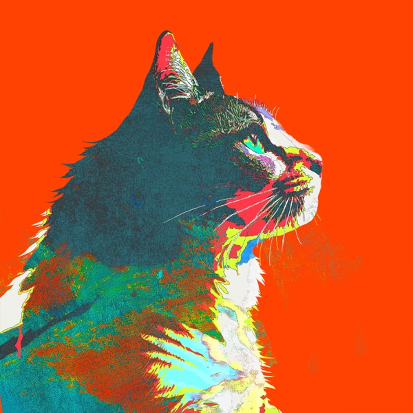 Image Cover