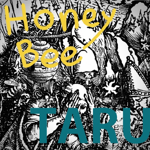 Image Cover