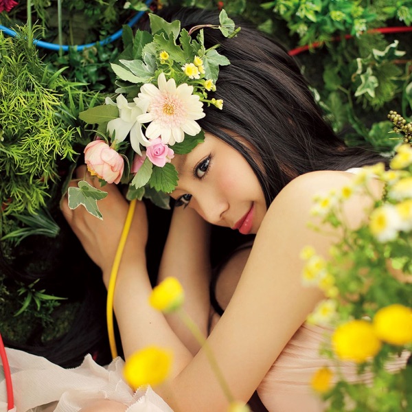 Image Cover