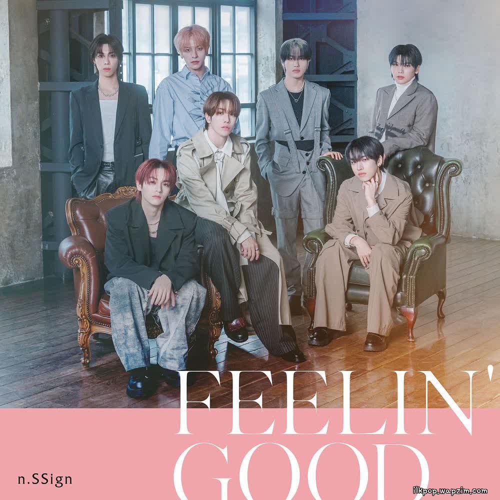 n.SSign - FEELIN' GOOD.mp3