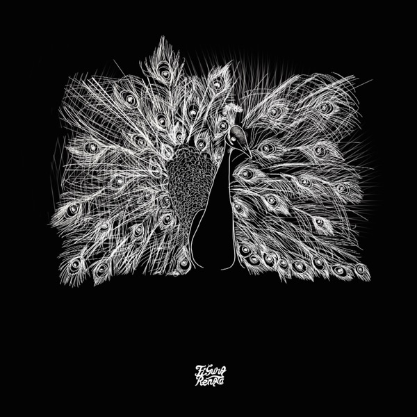 Image Cover