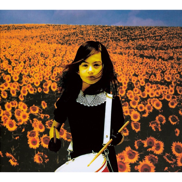 Image Cover