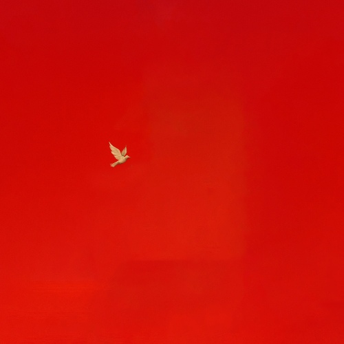 Image Cover