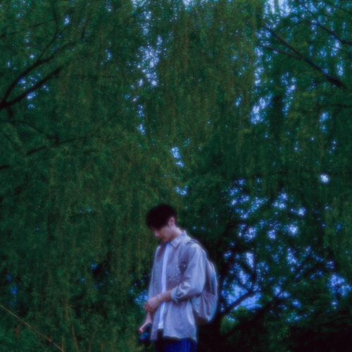 Image Cover