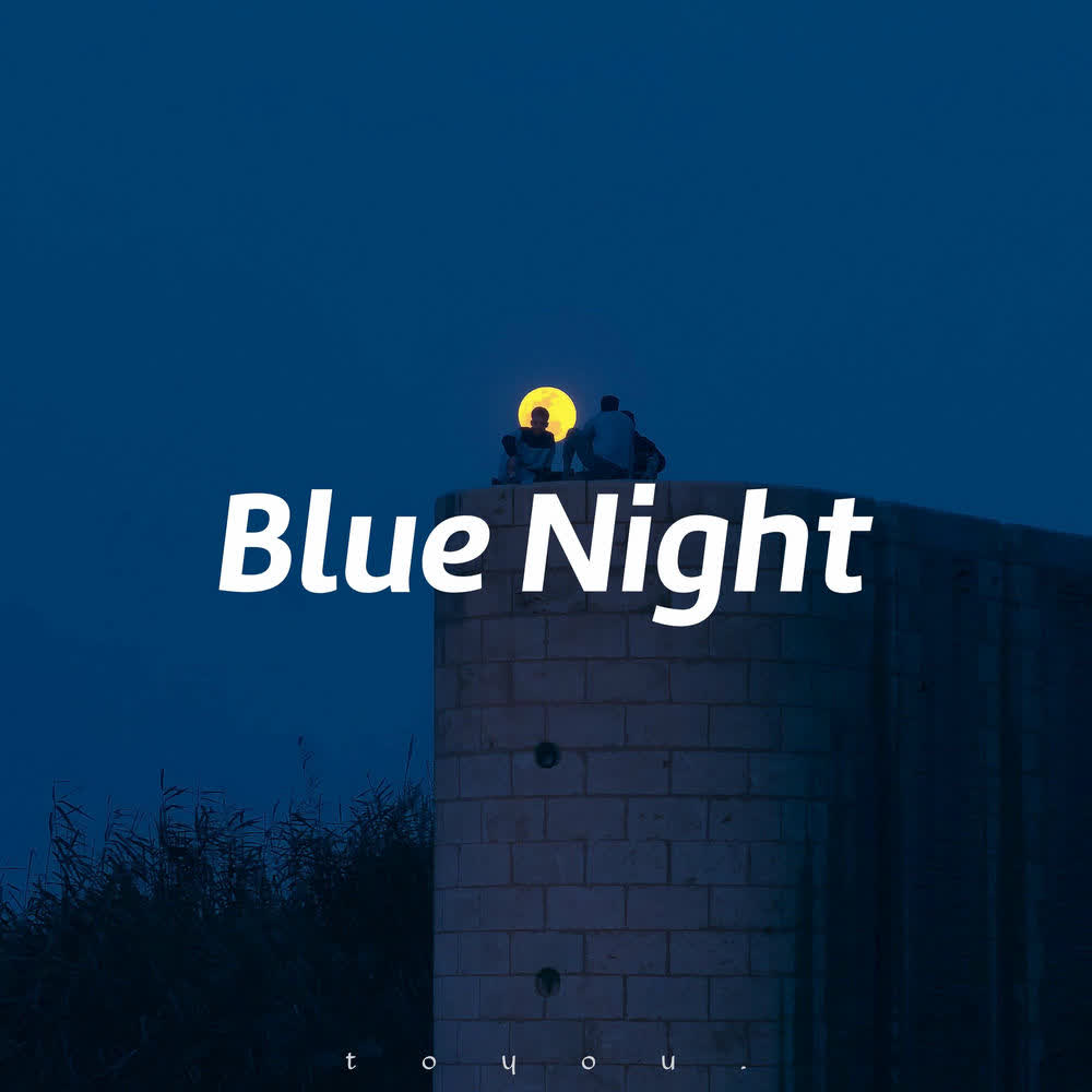 toyou. - Blue Night.mp3
