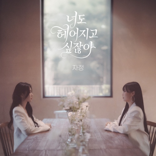 Ja Jung – 너도 헤어지고 싶잖아 (You want to break up, too) Image Cover