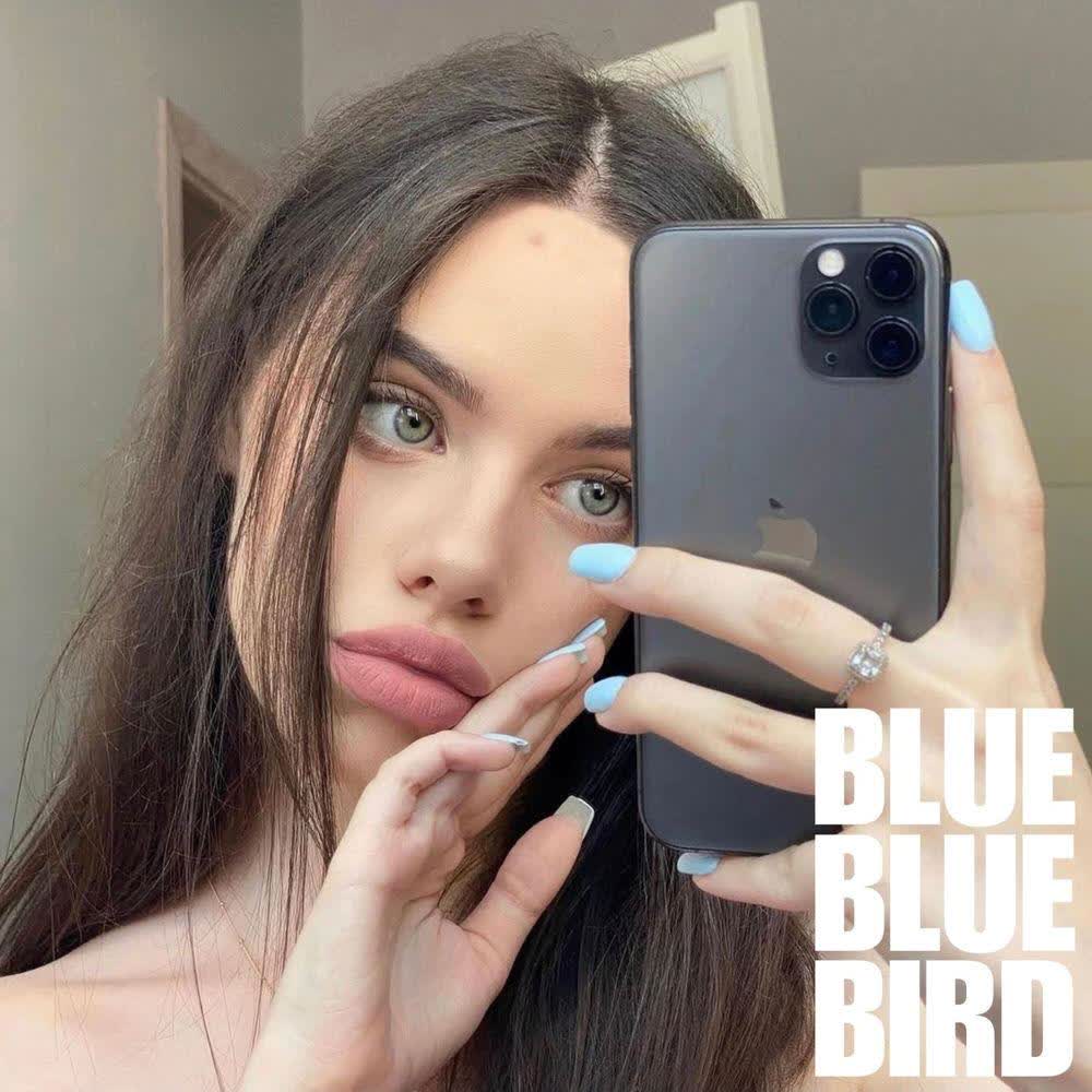 bluebluebird - GOODBYEMYLOVE.mp3
