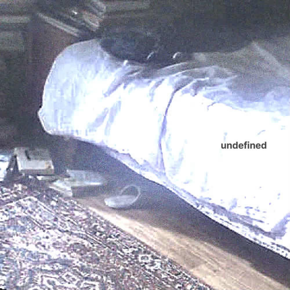 imzoo - undefined.mp3