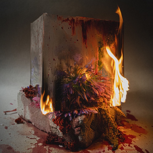 Image Cover