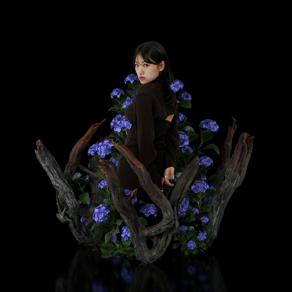 Image Cover