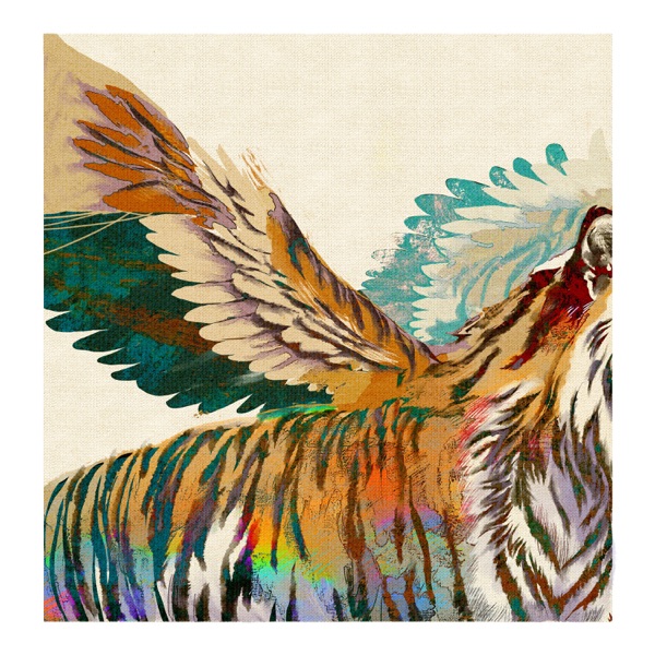 Image Cover