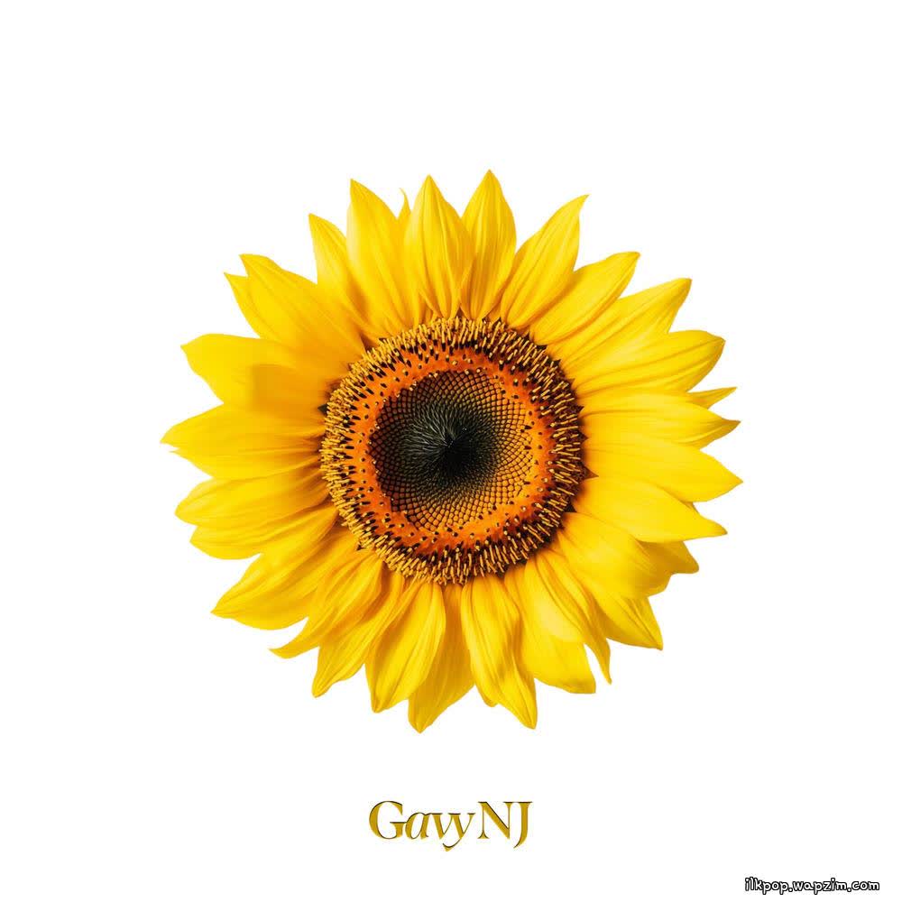 Gavy N.J. - 해바라기 (Sunflower) (2026).mp3