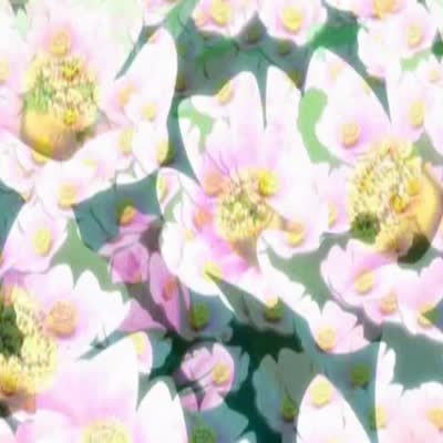 Ai_Yori_Aoshi_02